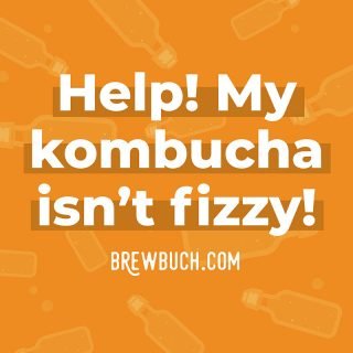 Carbonated Kombucha