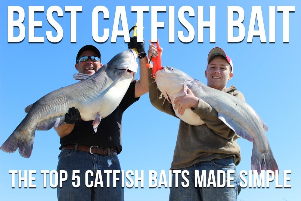 Catfishing Baits For The Best Bite Catfish Bait Options Catching