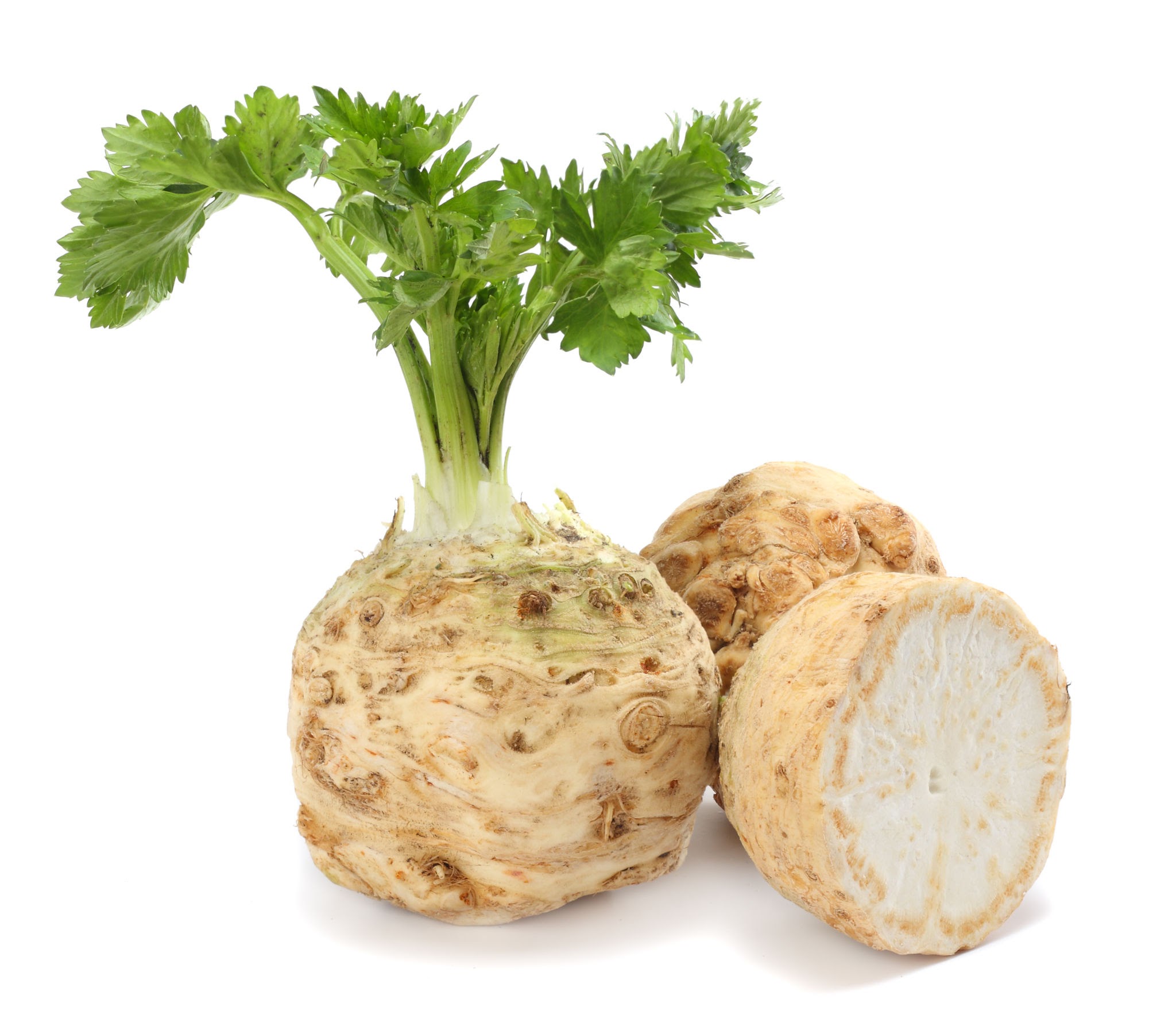 Celeriac Delights: Simple and Tasty Recipes