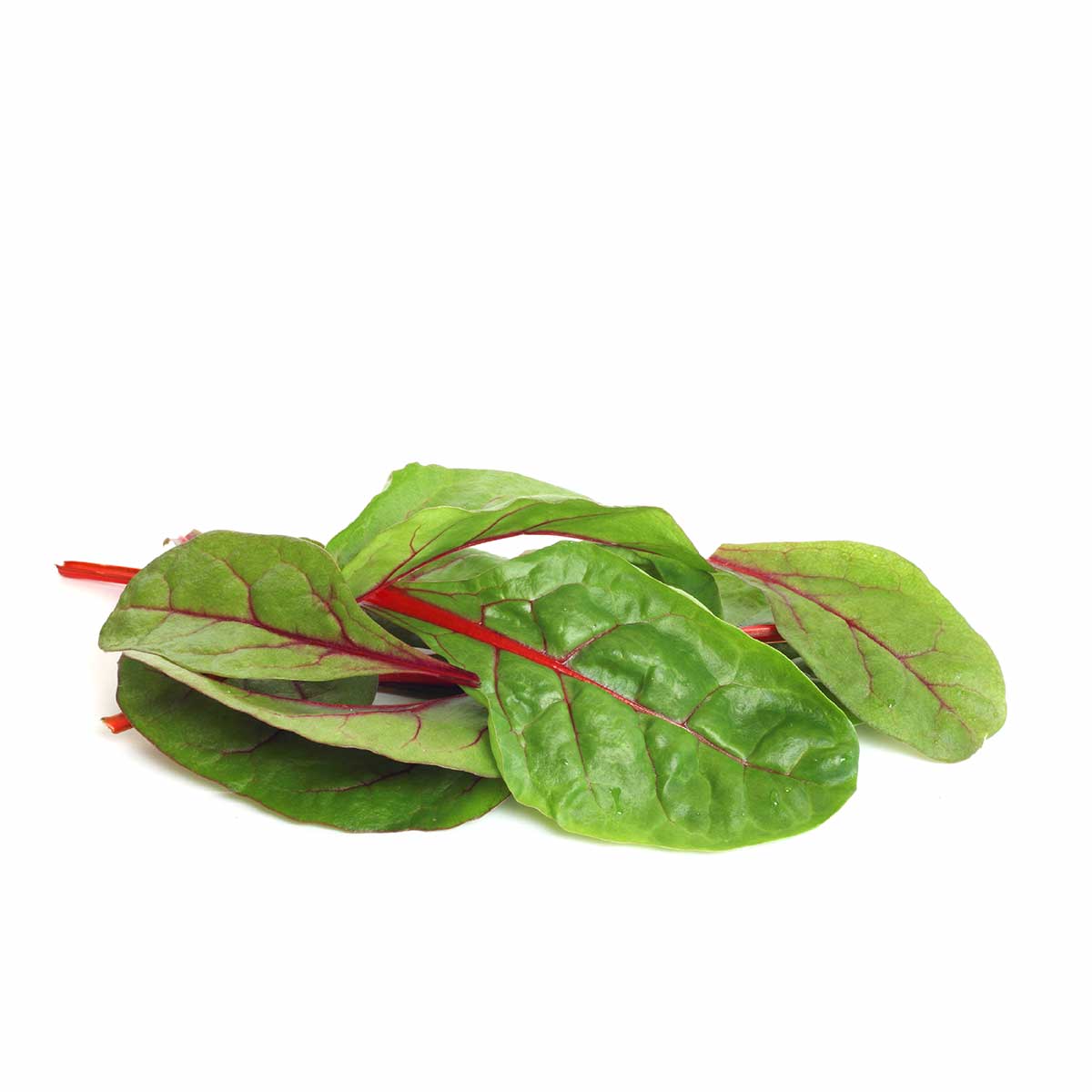 Delicious Chard Recipes to Brighten Your Meals