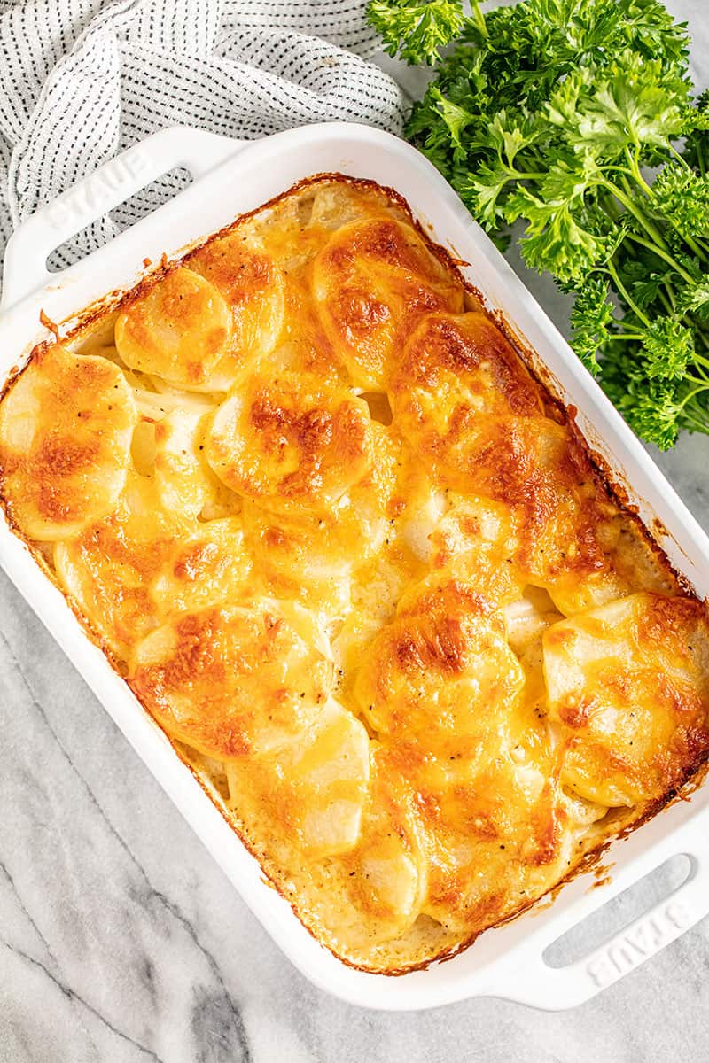 7 Cheesy Potato Dishes You Must Try