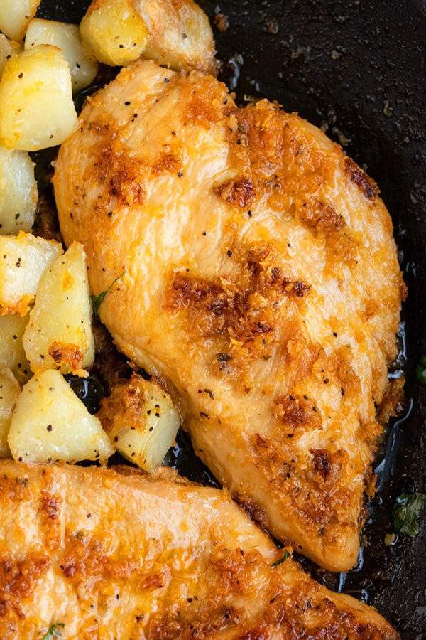 Chicken And Potatoes One Pot One Pot Recipes