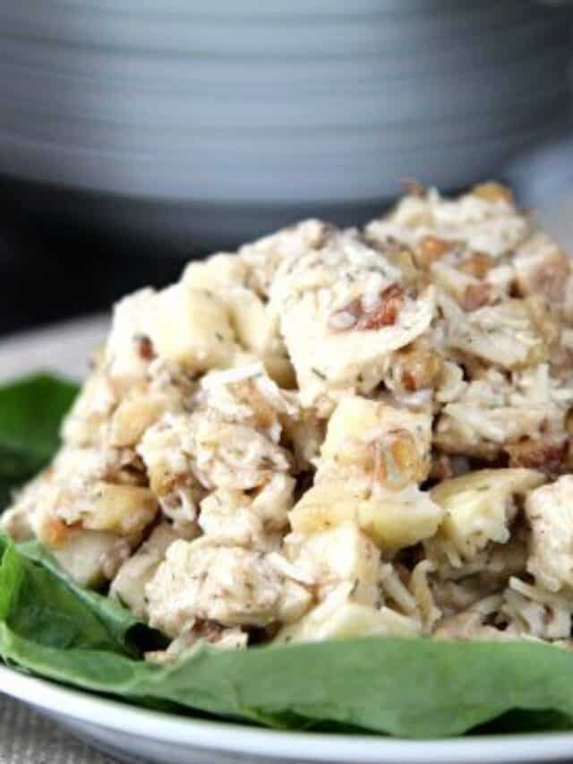 Chicken Salad With Apples Quick Easy Snappy Gourmet