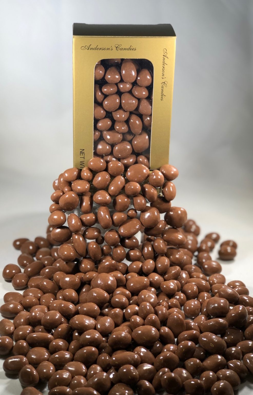 Chocolate Covered Raisins