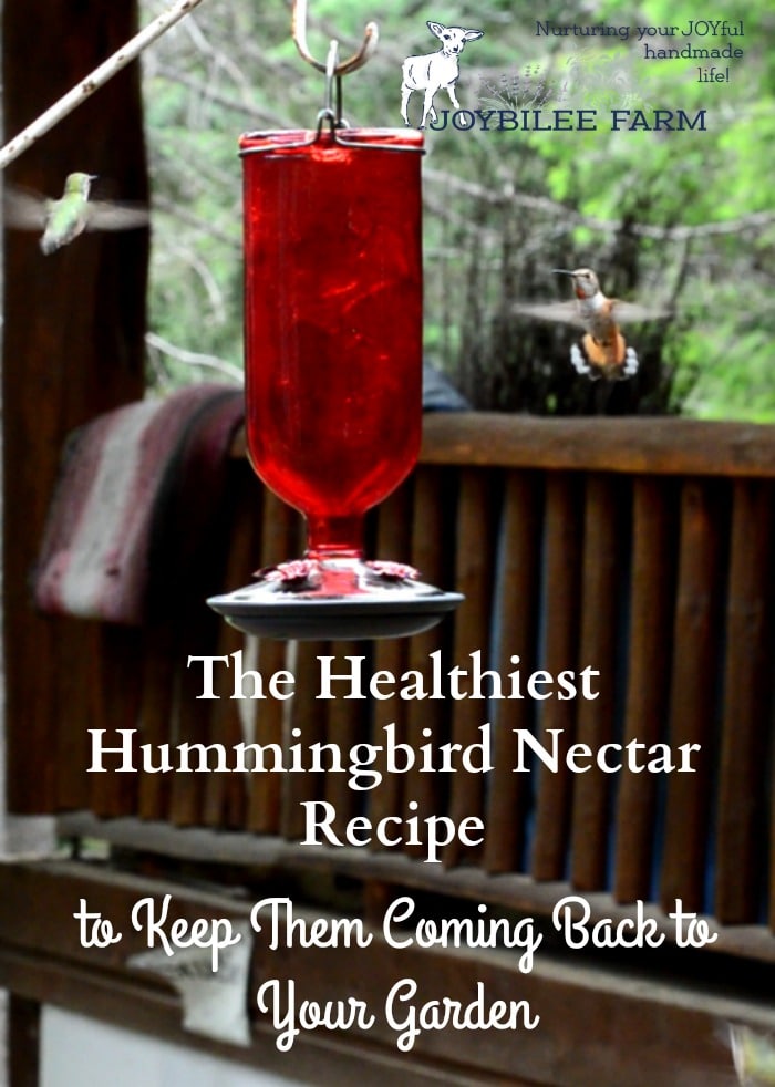 Classic And Safe Hummingbird Nectar Recipe