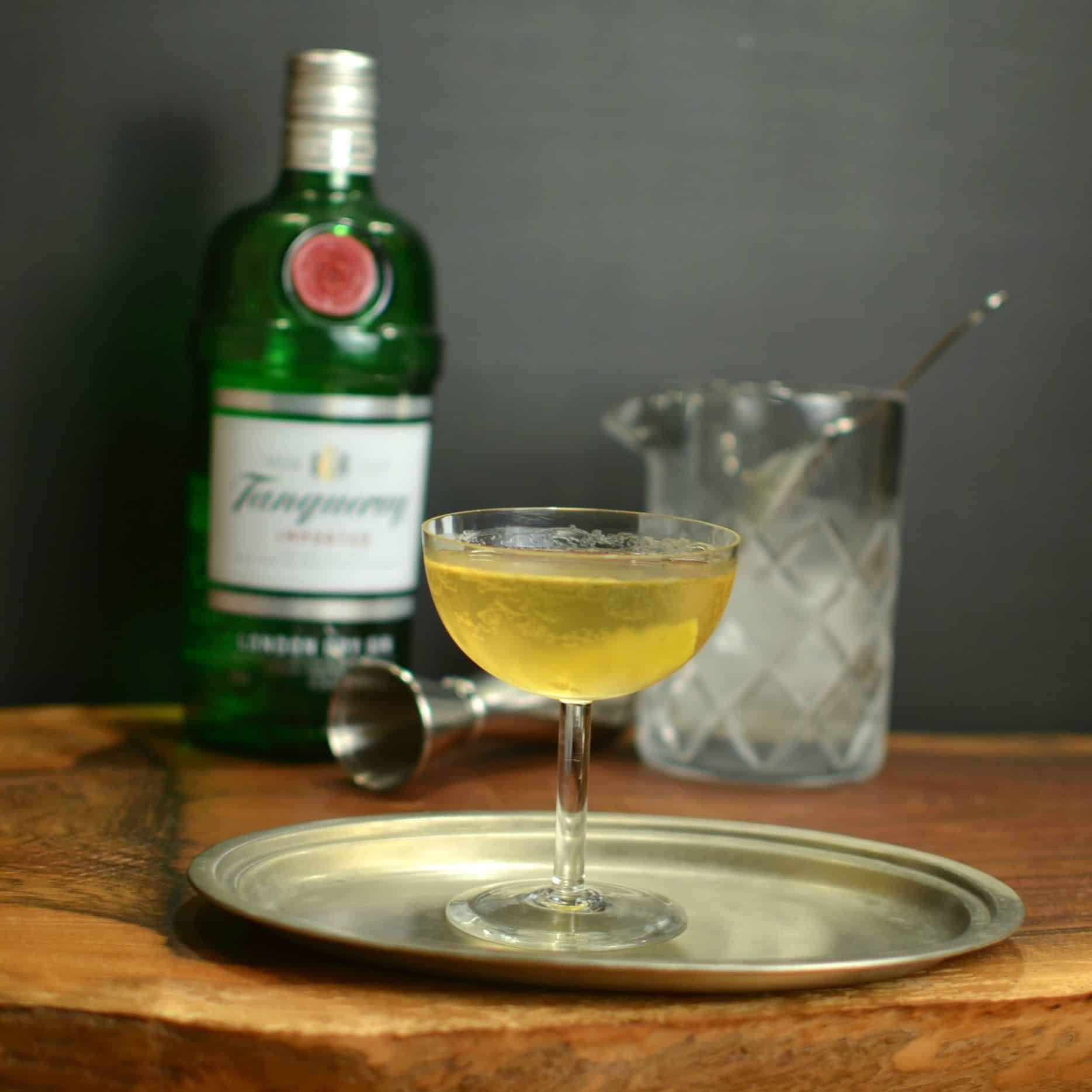 Classic Gin Martini Recipe Myrecipes