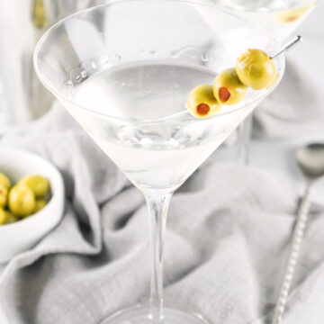 Classic Gin Martini Recipe Tasty Cocktail Recipes