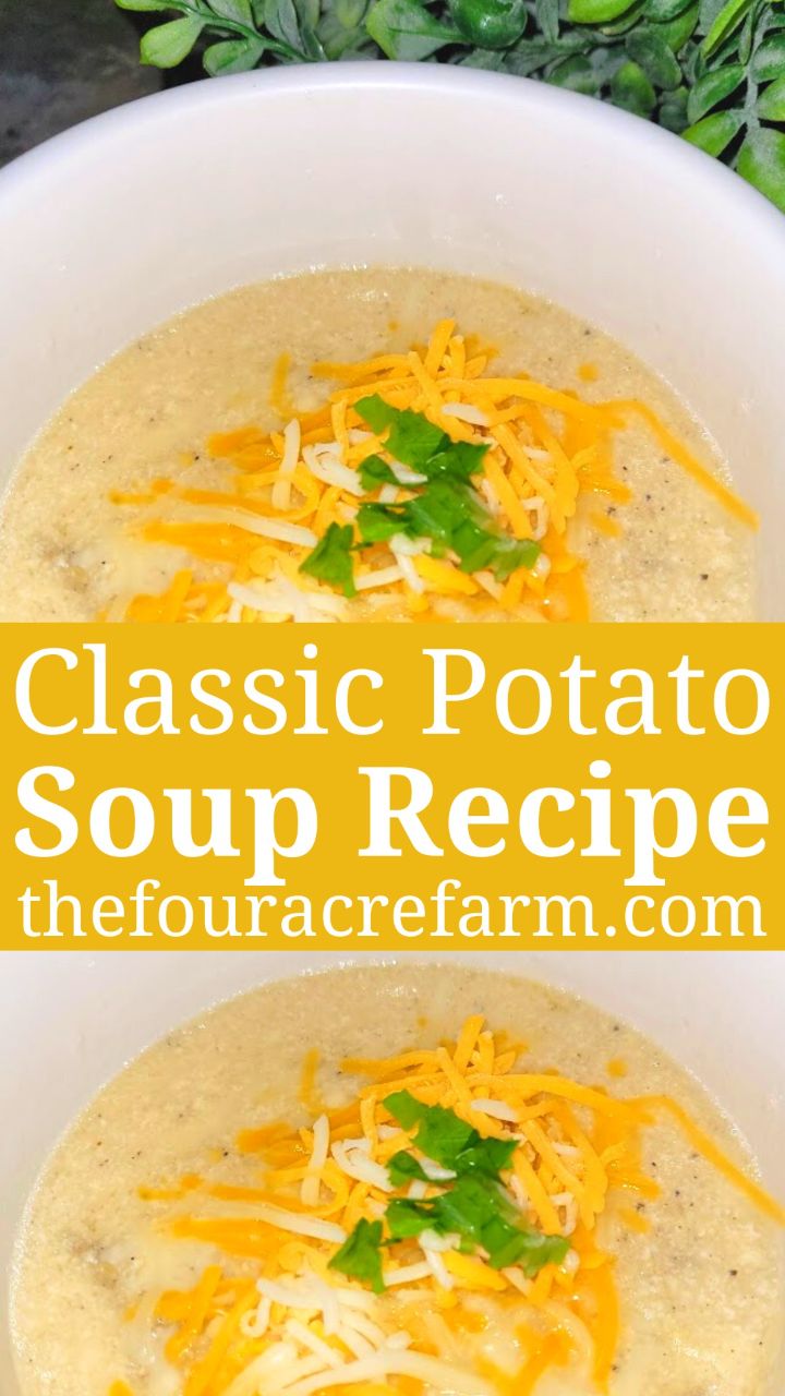 Classic Potato Soup Recipe The Four Acre Farm