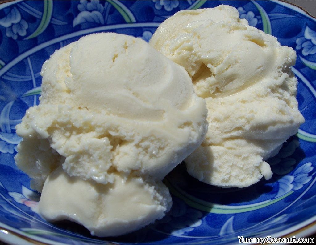 3 Easy Ways to Make Coconut Milk Ice Cream at Home