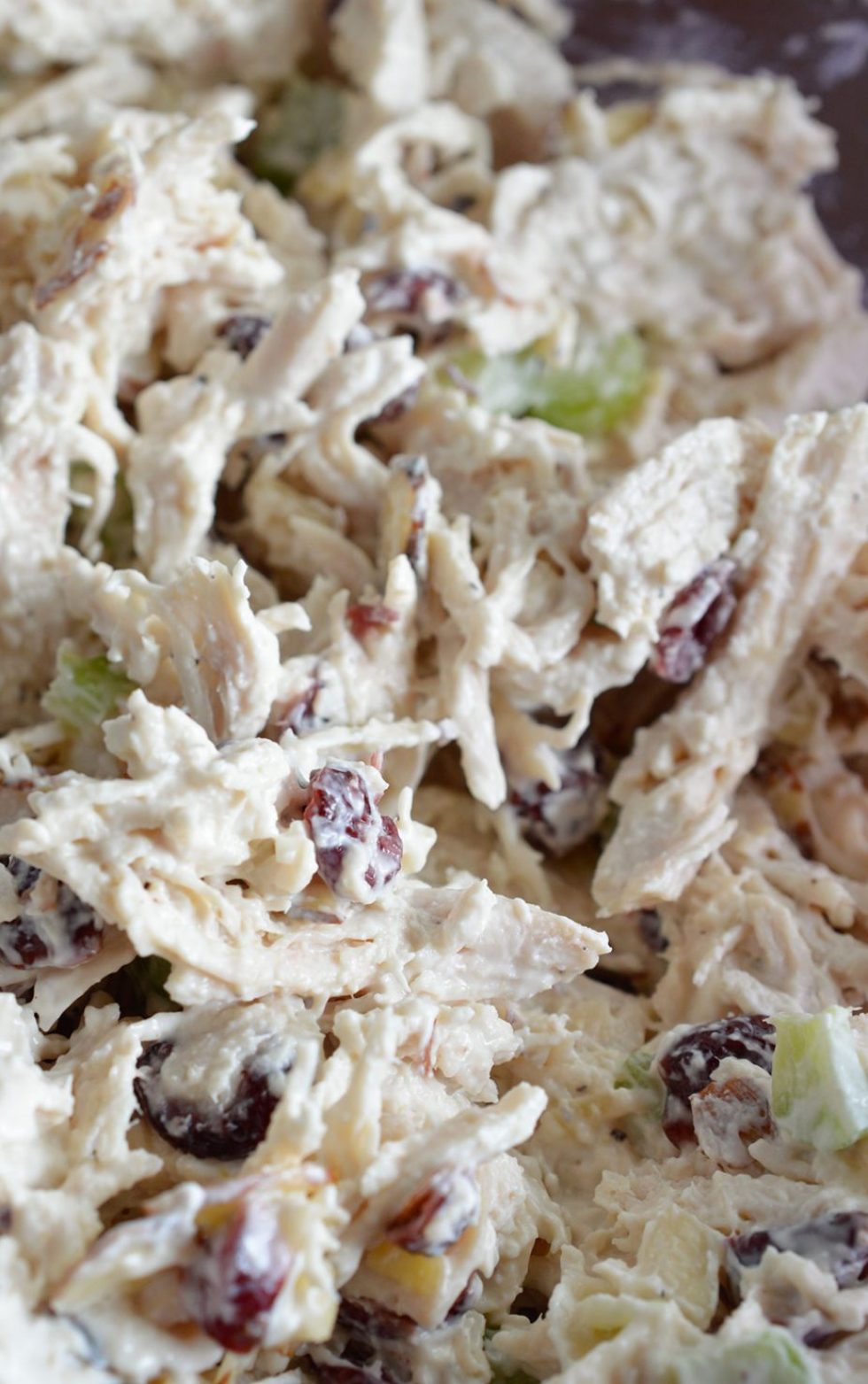 Cranberry Almond Chicken Salad Recipe Wonkywonderful