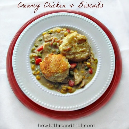 Creamy Chicken And Biscuits Recipe