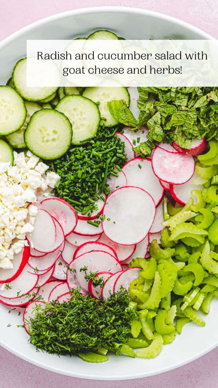 Cucumber Radish Salad The Mediterranean Dish