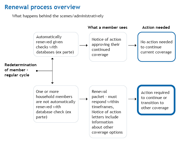 Daca Unveiled Understanding Its Impact Renewal Process