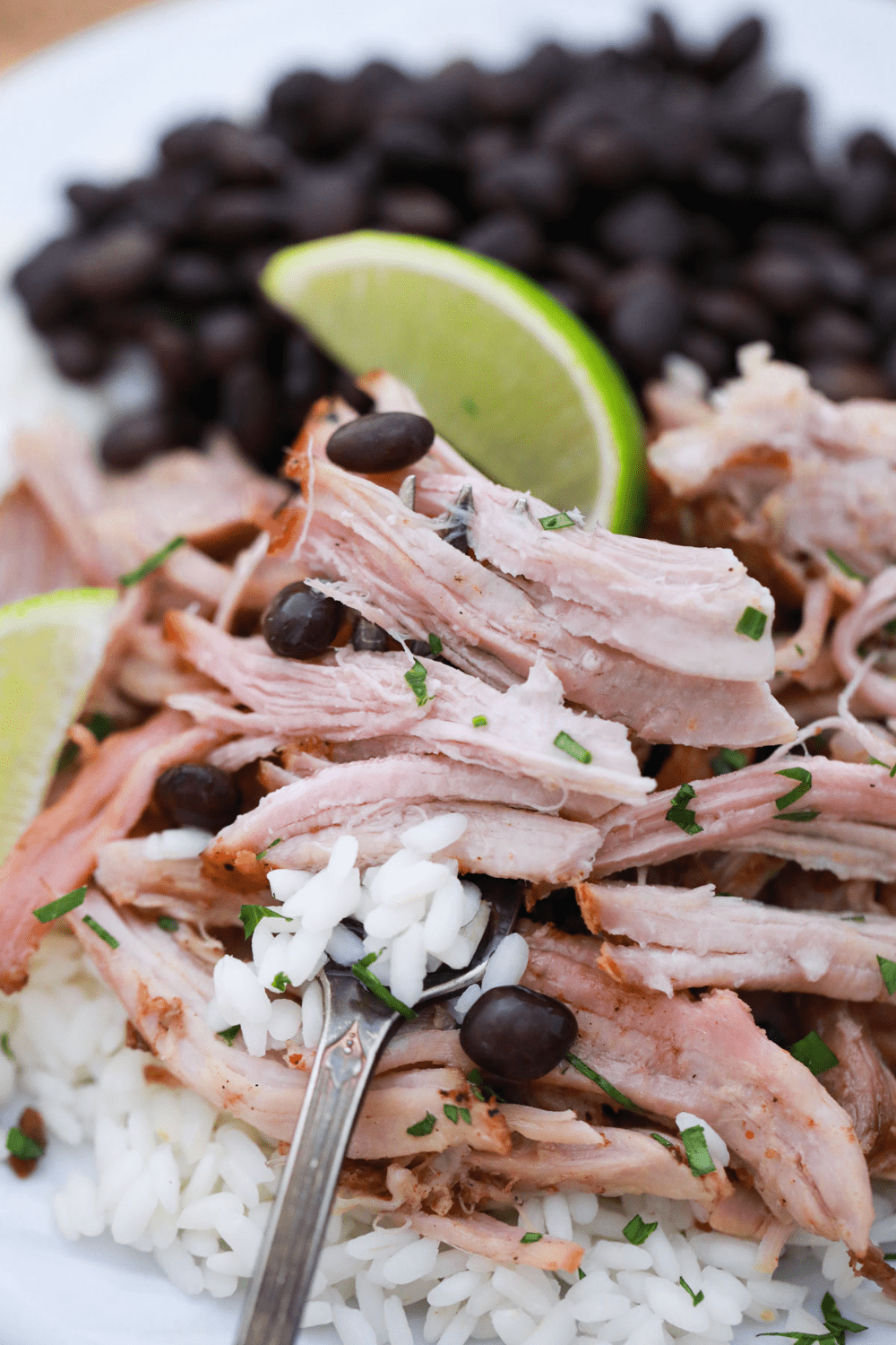 Delicious Pernil Recipe My Stay At Home Adventures