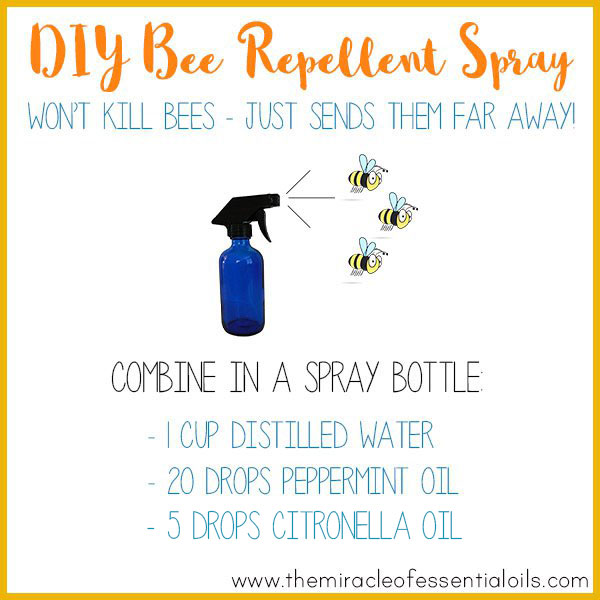 Diy Essential Oil Bee Repellent To Safely Get Rid Of Bees The Miracle