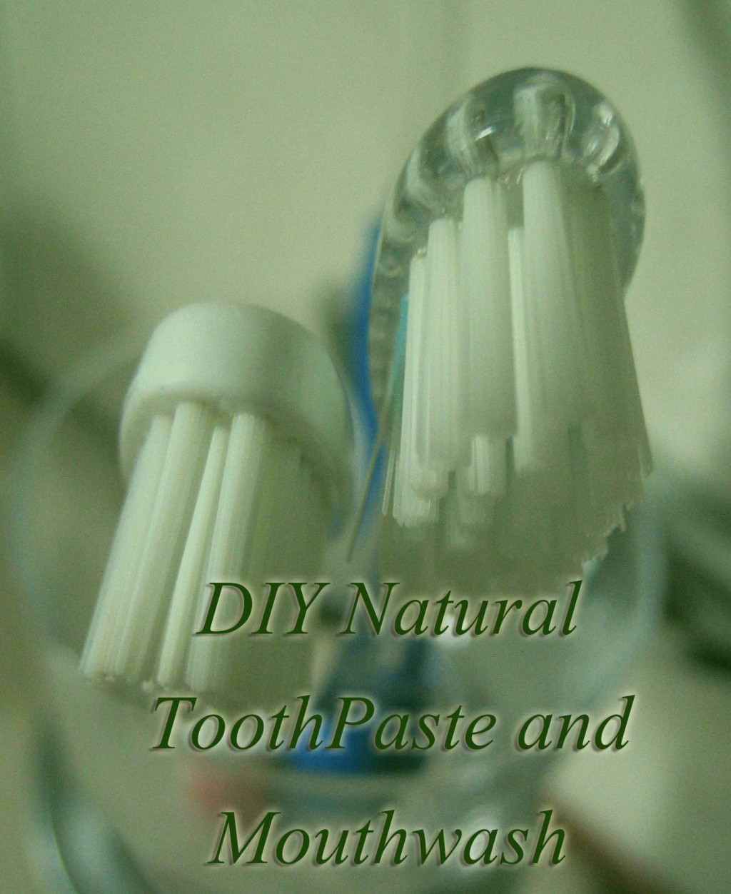 Diy Natural Toothpaste And Mouthwash Recipes