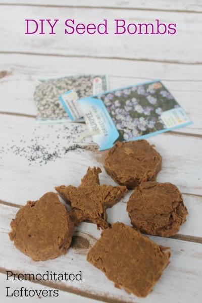 Diy Seed Bombs Recipe An Easy Garden Hack Bird S Eye Meeple