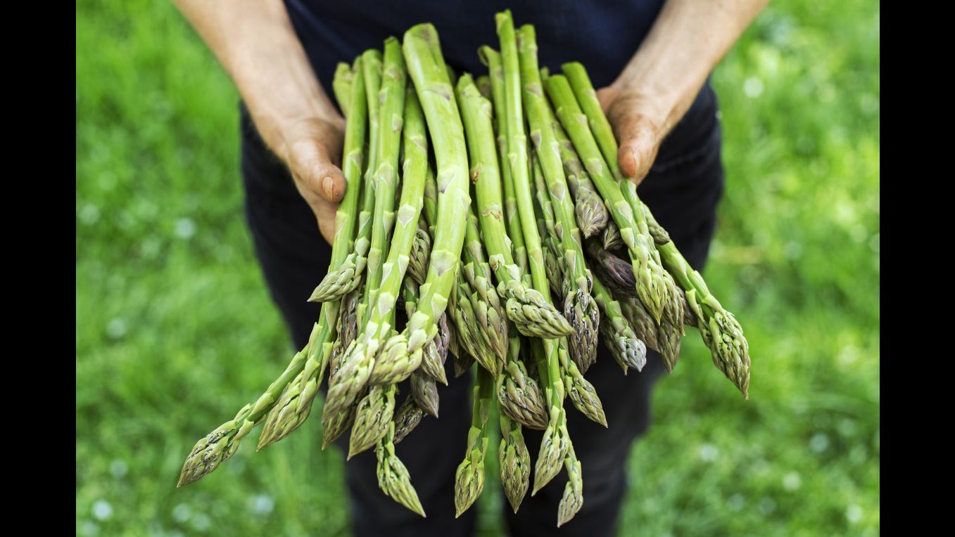 Does Asparagus Cure Cancer