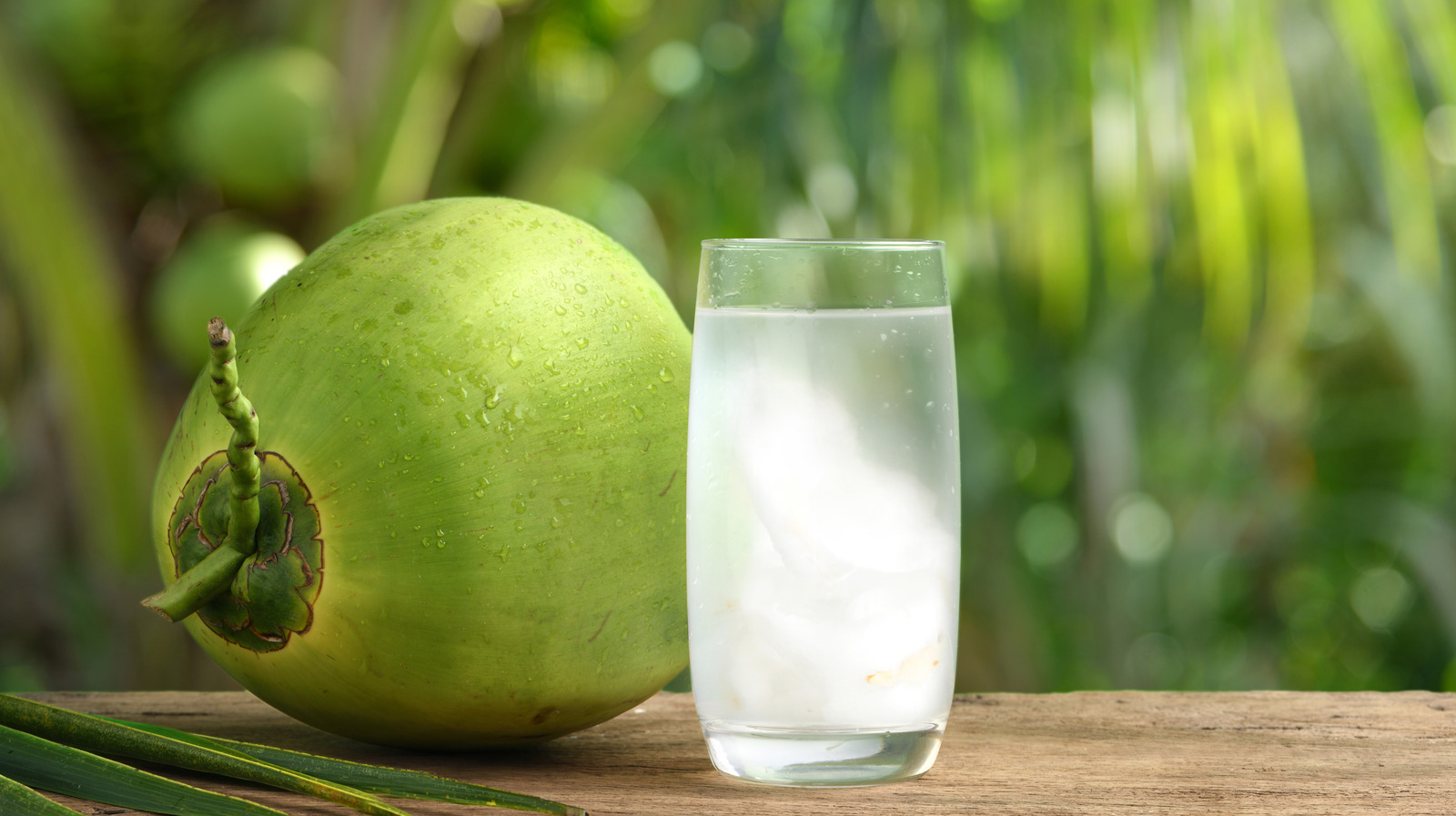 Drink Coconut Water Mixed With Honey Each Morning This Will Happen To Your Body Youtube