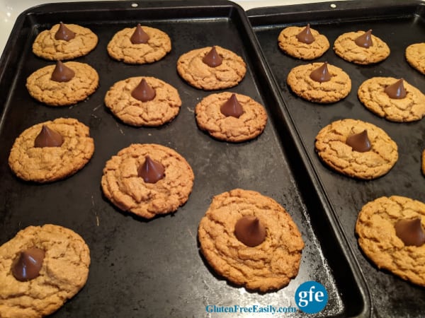 Easy 4 Ingredient Peanut Butter Cookies Gluten Free Flourless