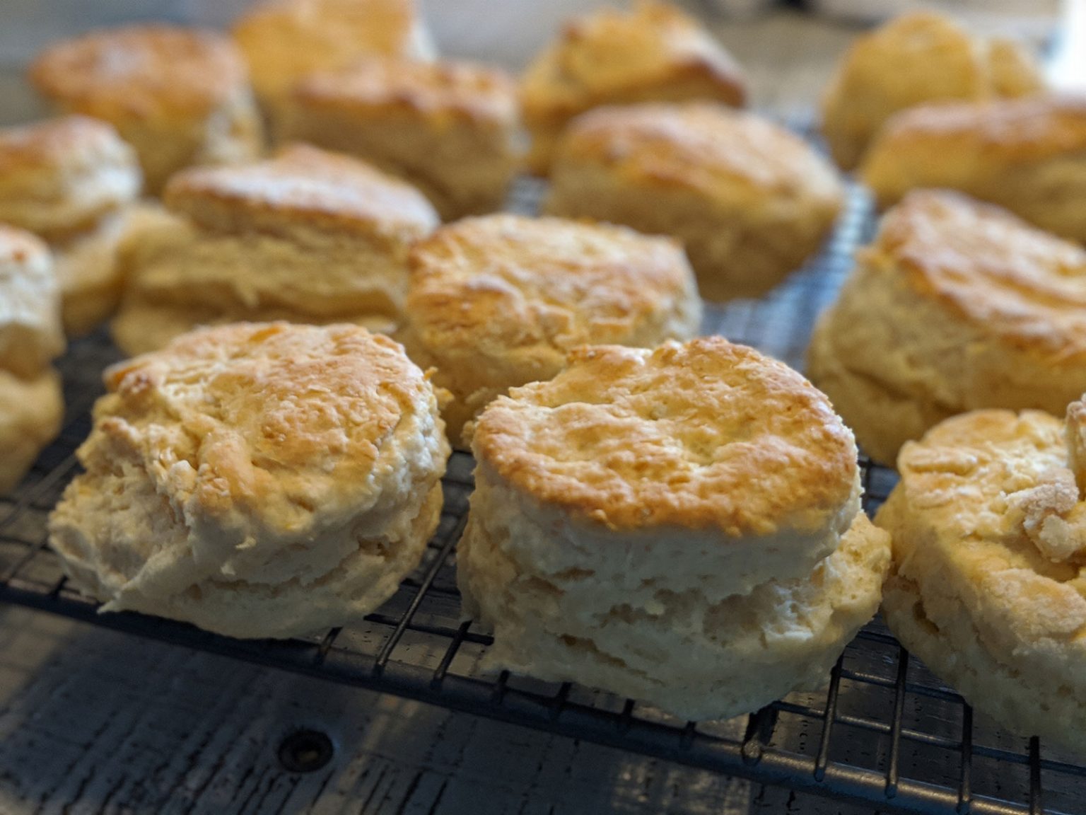 Easy And Delicious Fruit Scone Recipe