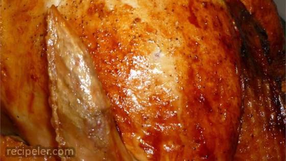 Easy Beginner S Turkey With Stuffing Recipe Recipeschoose Com