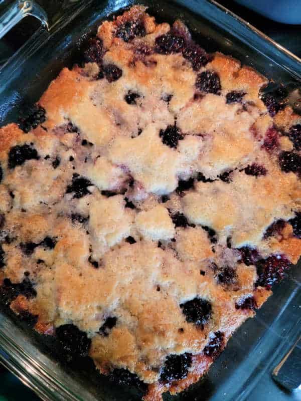 Easy Bisquick Blackberry Cobbler Recipe In 2023 Cobbler Recipes Easy