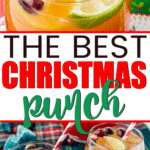 Easy Christmas Punch Recipe Nonalcoholic Play Party Plan