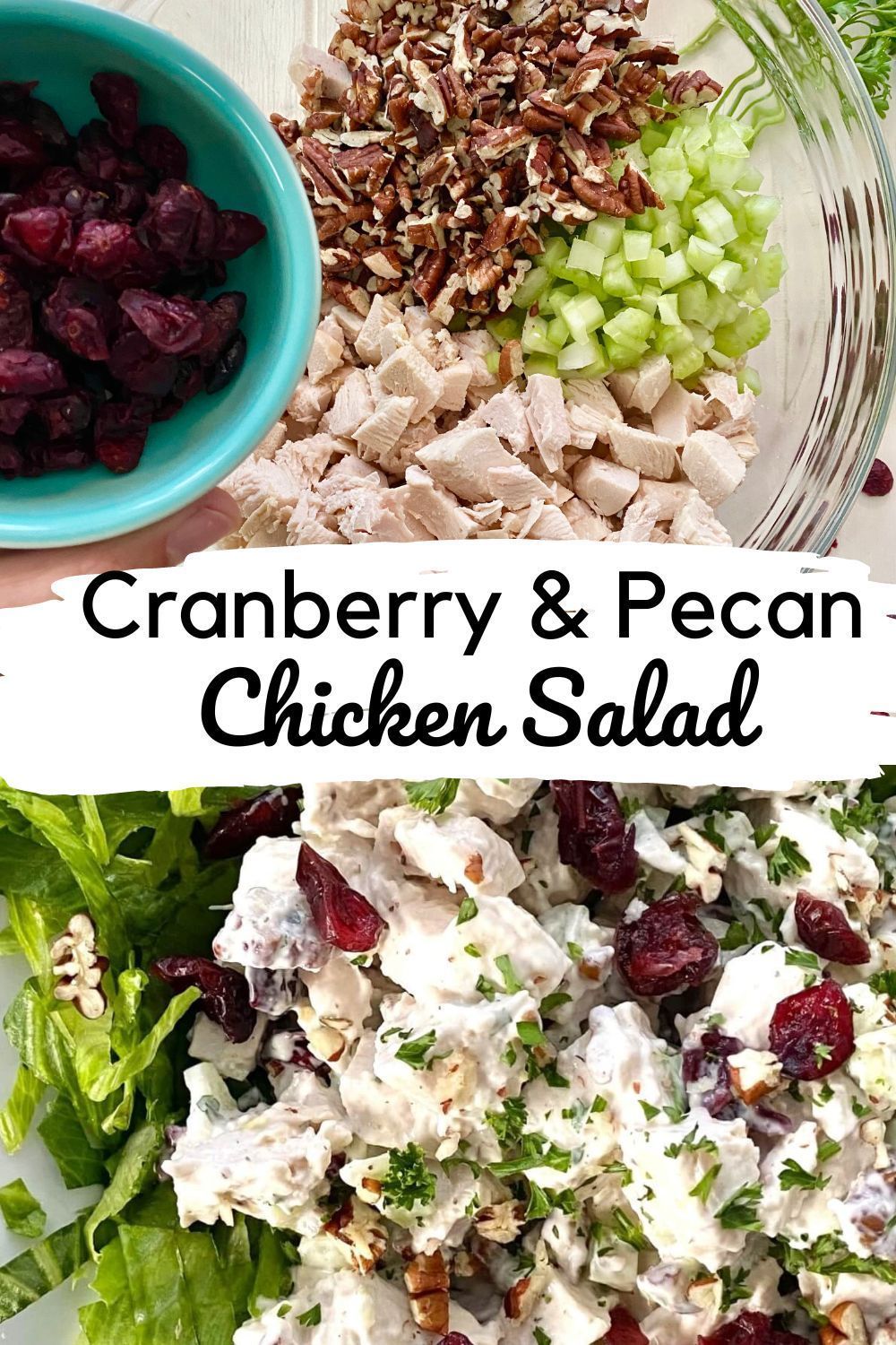 Easy Cranberry Chicken Salad With Toasted Pecans