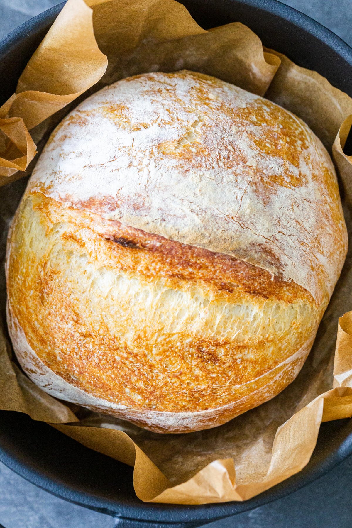 Easy Dutch Oven No Knead Bread Video Momsdish