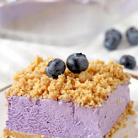 Easy Frozen Blueberry Dessert Refreshing Creamy Frozen Dessert