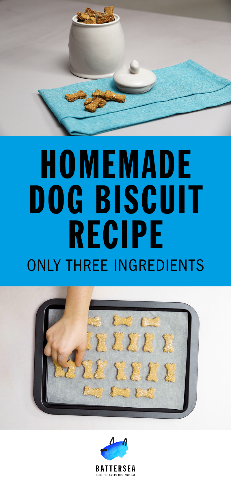 Easy Homemade Dog Biscuit Recipe Artofit