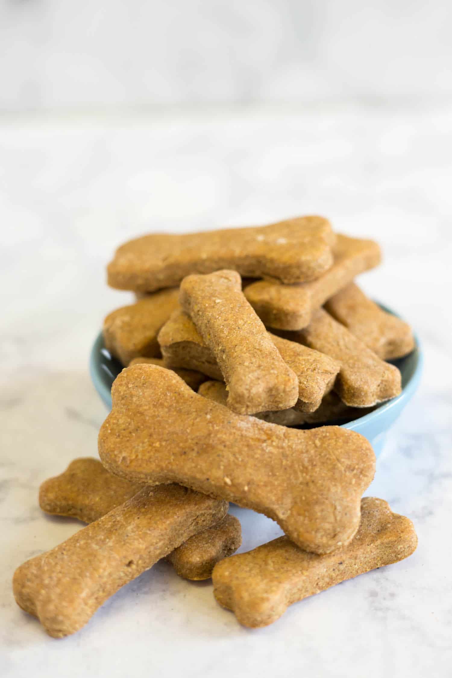 Easy Homemade Dog Biscuits 5 Ingredient Baked Dog Treats