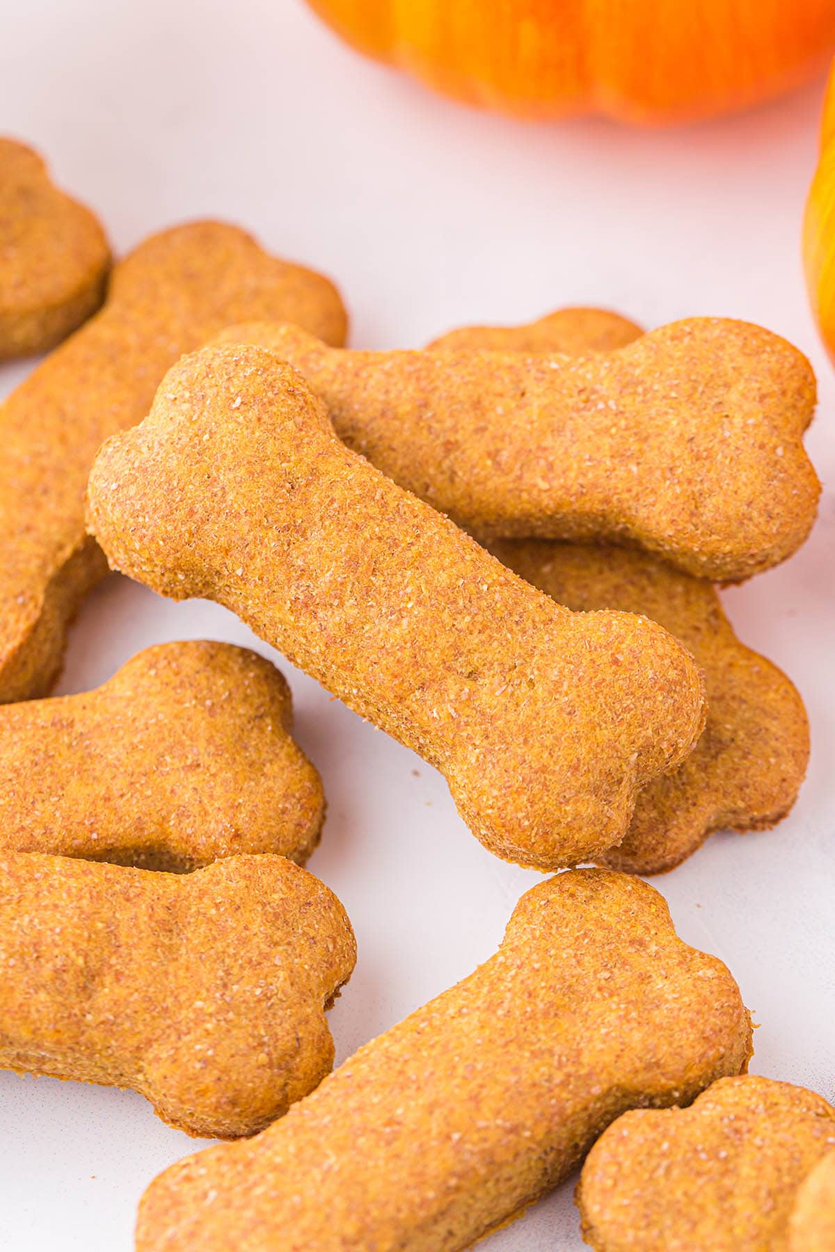 Easy Homemade Dog Treats Kitchn