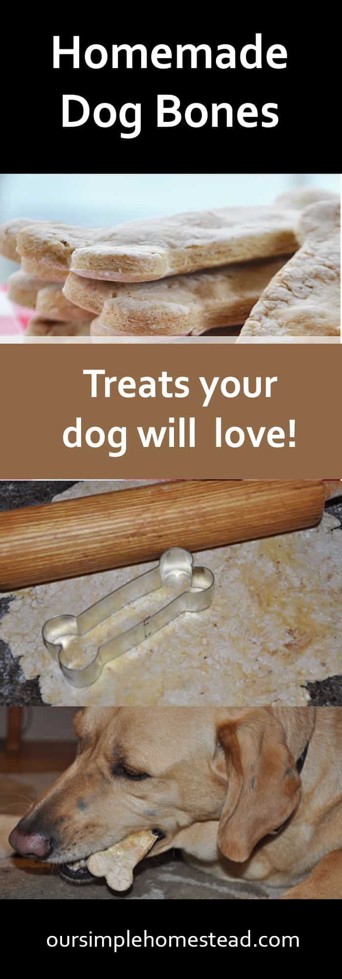 Easy Homemade Dog Treats