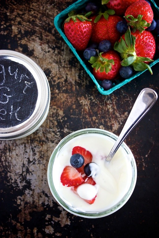 Easy Homemade Yogurt Greek Yogurt Recipe Eat Your Books