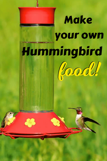 Easy Hummingbird Nectar Recipe With Just Two Ingredients Nature Blog Network