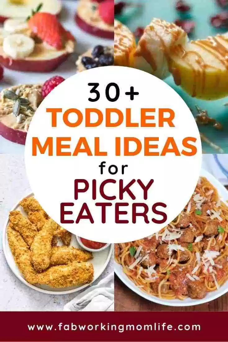 Easy Kid Friendly Dinner Recipes For Picky Eaters R Homedesignideas