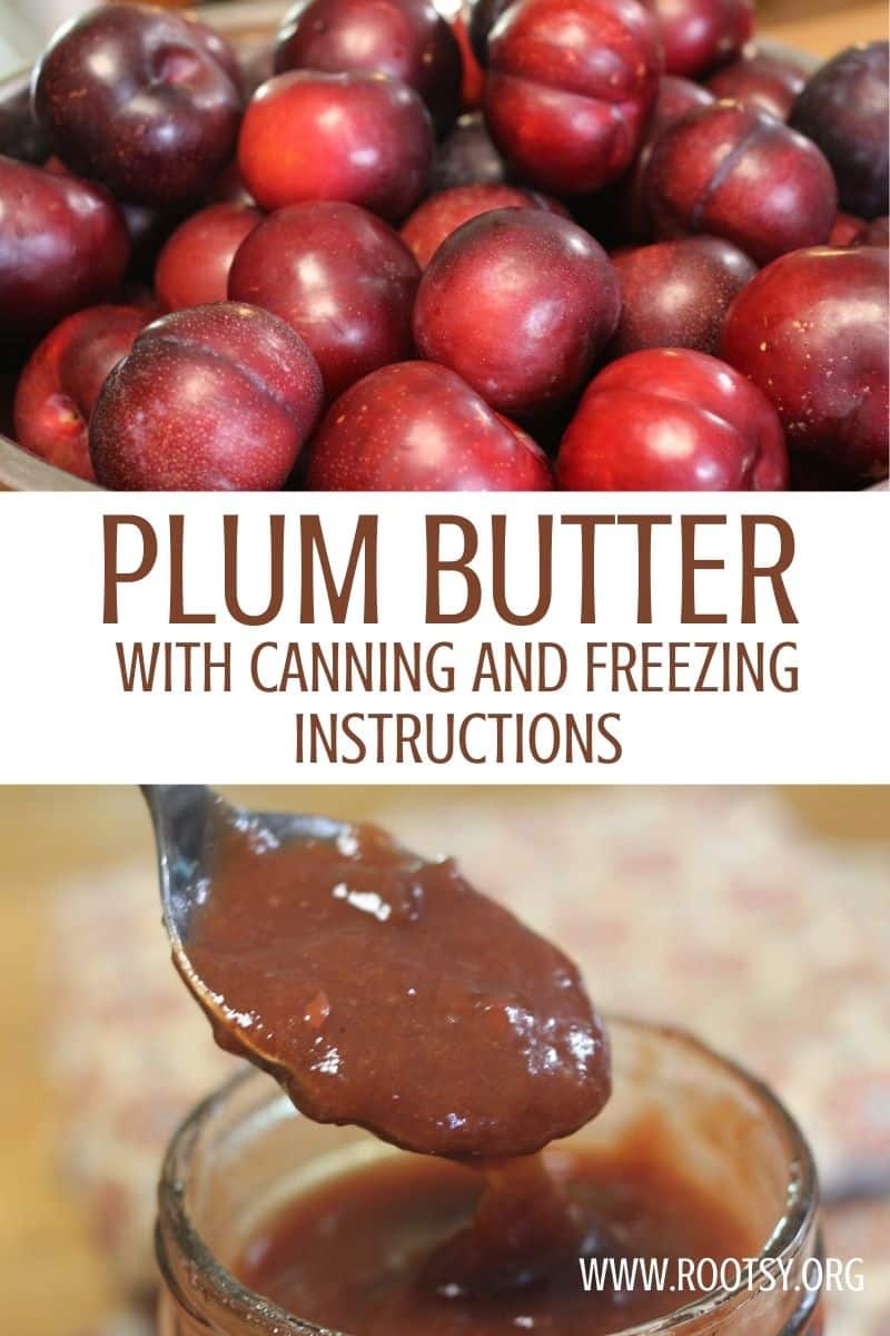 Easy Plum Butter A Canning Recipe Rootsy Network