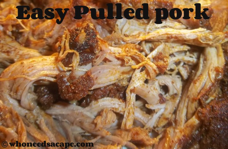 Effortless Pulled Pork: Simple Recipes for BBQ Perfection