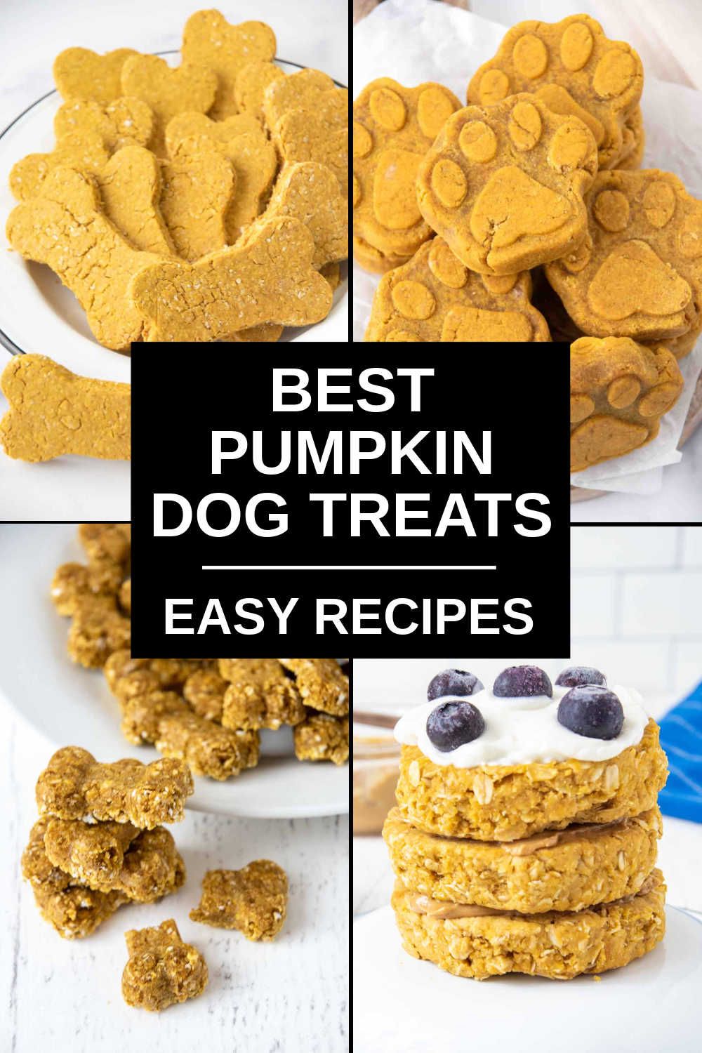 Easy Pumpkin Dog Cookies Recipe Spoiled Hounds