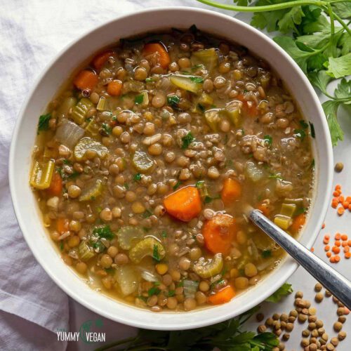 5 Simple Vegan Lentil Recipes for Quick Meals