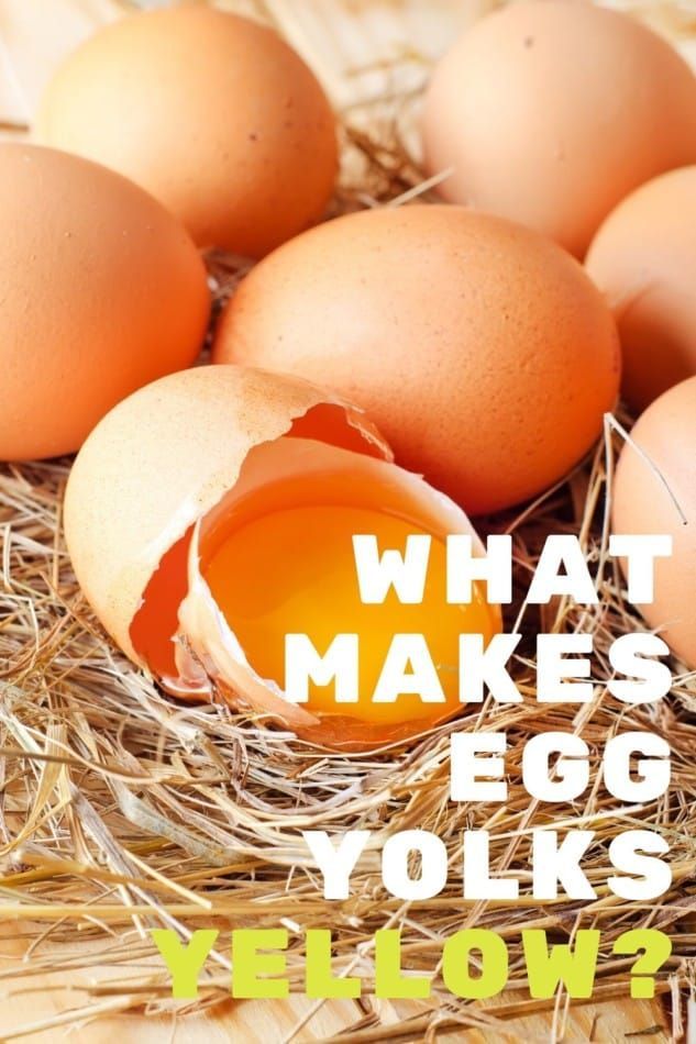 Egg Yolk Color What Makes Egg Yolks Yellow And Healthy