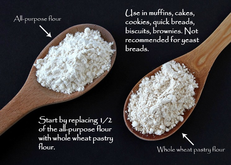 Faq Can I Substitute Whole Wheat Flour For All Purpose White Flour