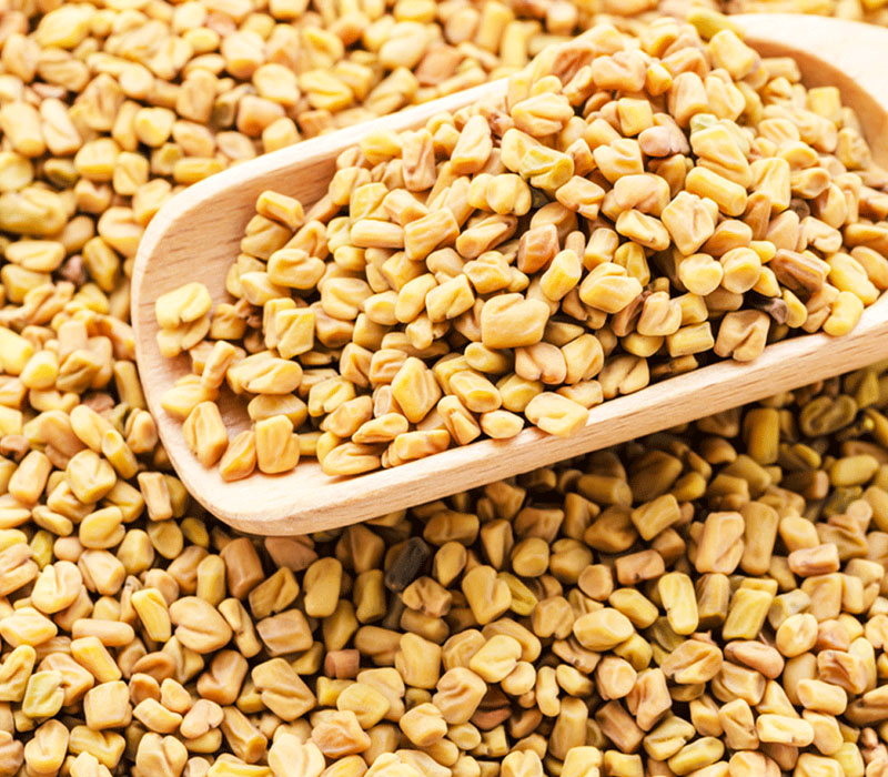 Fenugreek Seeds In Indian Cooking