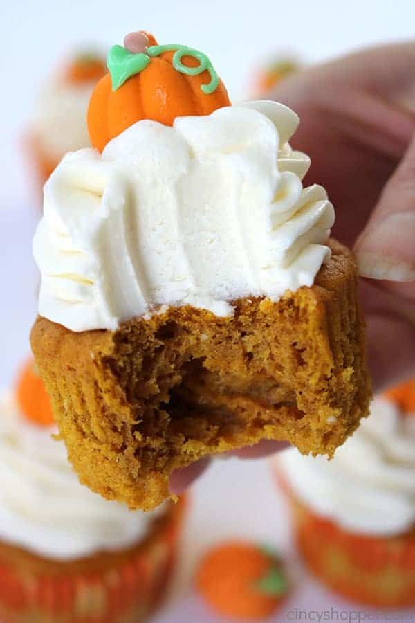 Five Delicious Pumpkin Recipes What Meegan Makes