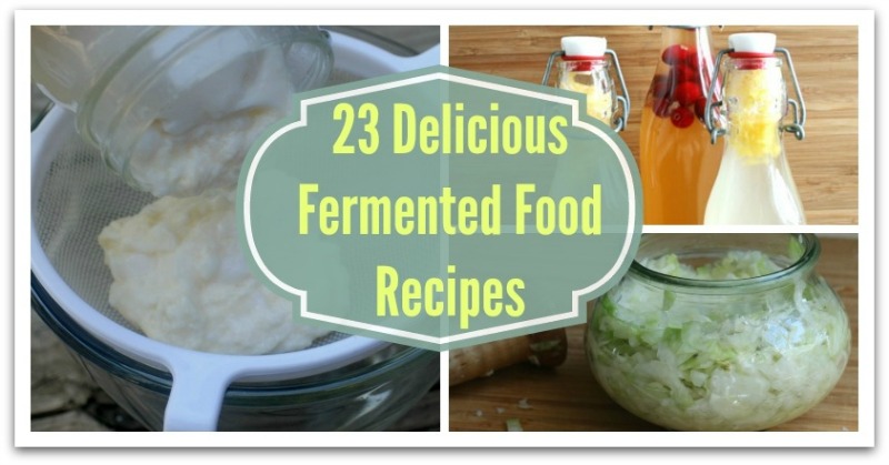 Fluffy Delicious Fermented Healthy