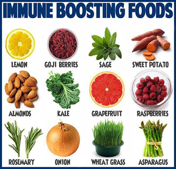 Foods That Boost Immune System Among Health