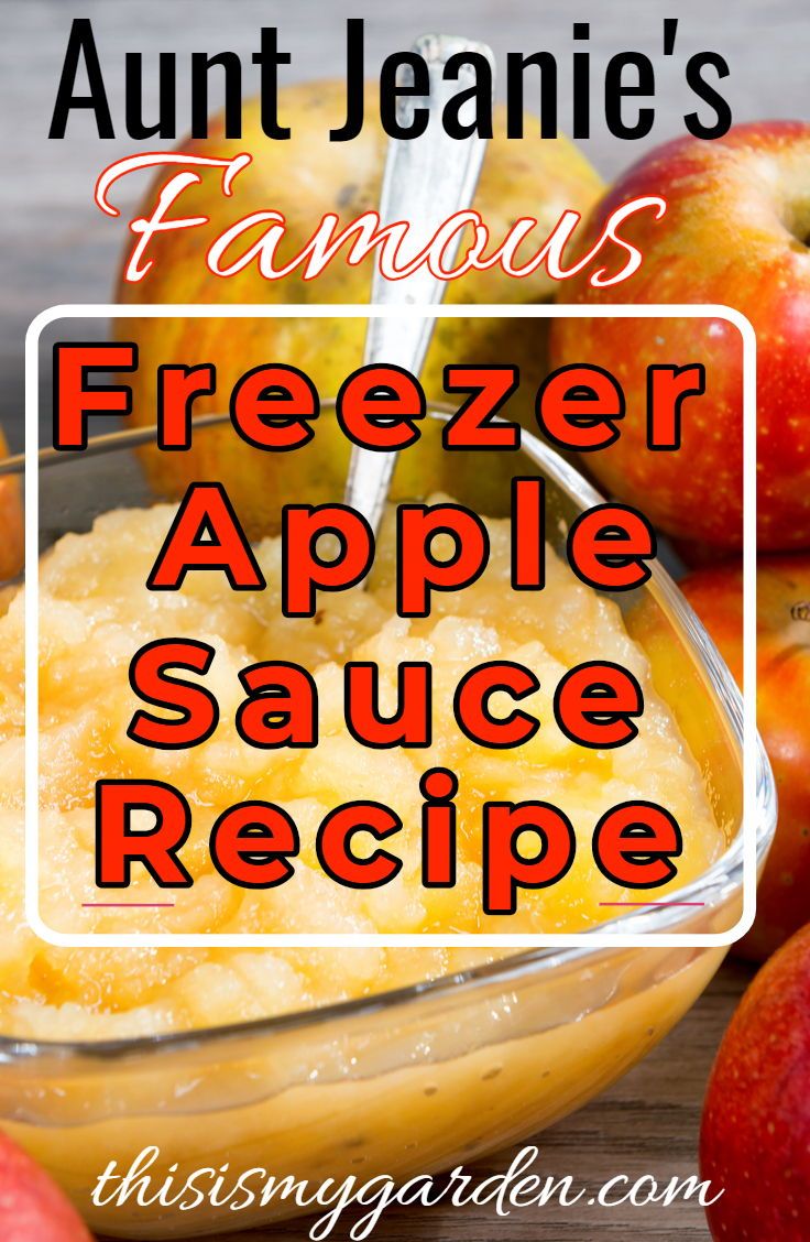 5 Easy Freezer Apple Recipes You'll Love