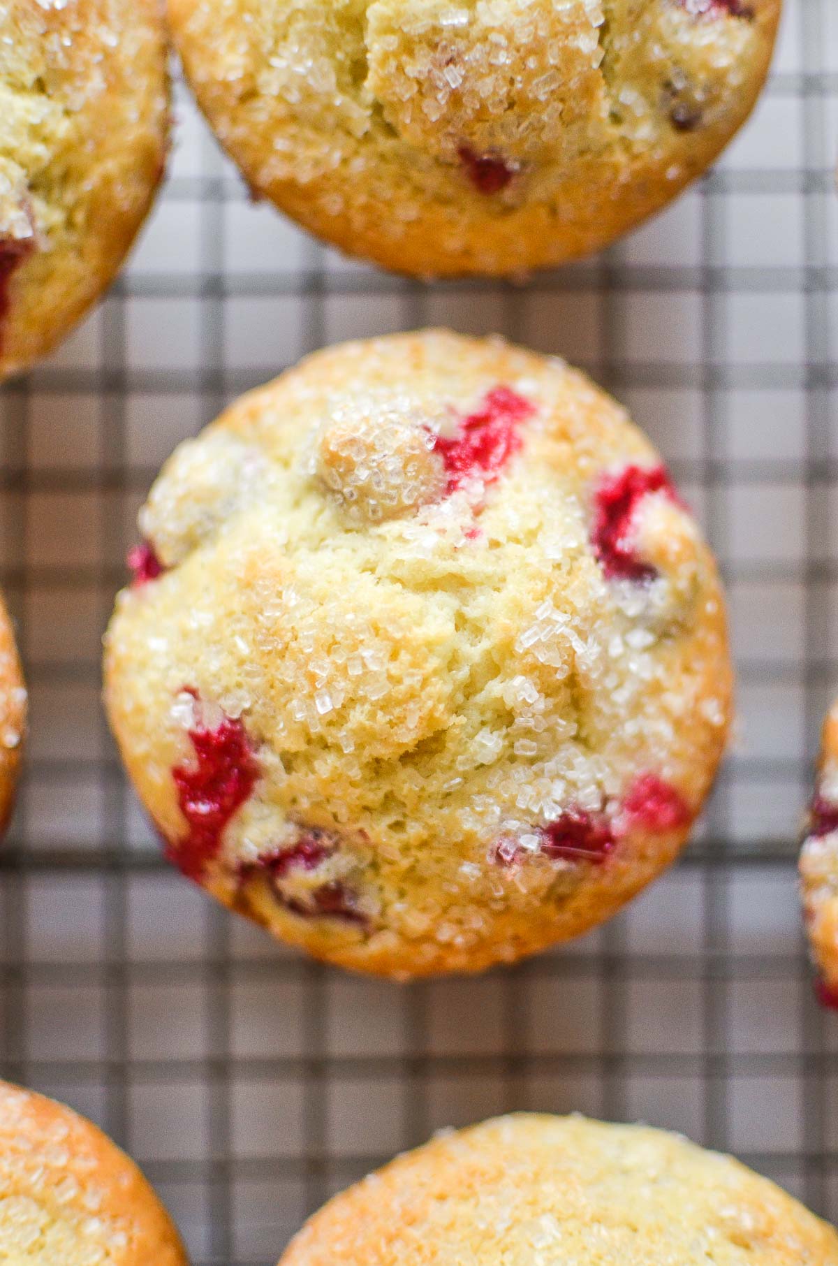 Fresh Cranberry Muffins The View From Great Island